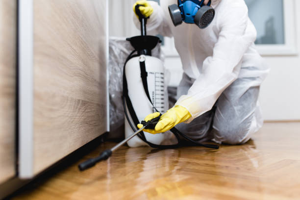 Best Wildlife Control Services  in Hamilton, MT