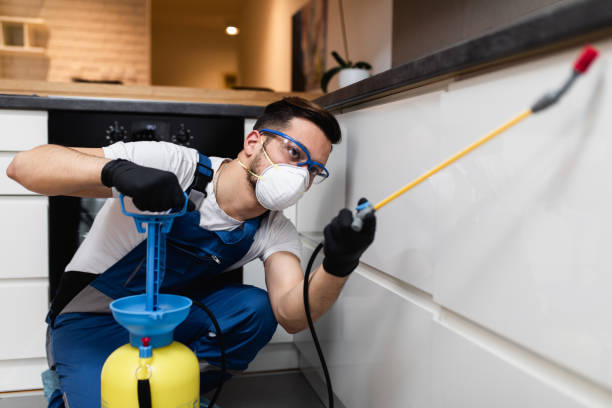Best Pest Control for Homes  in Hamilton, MT