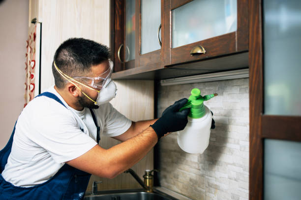 Best Bed Bug Extermination  in Hamilton, MT