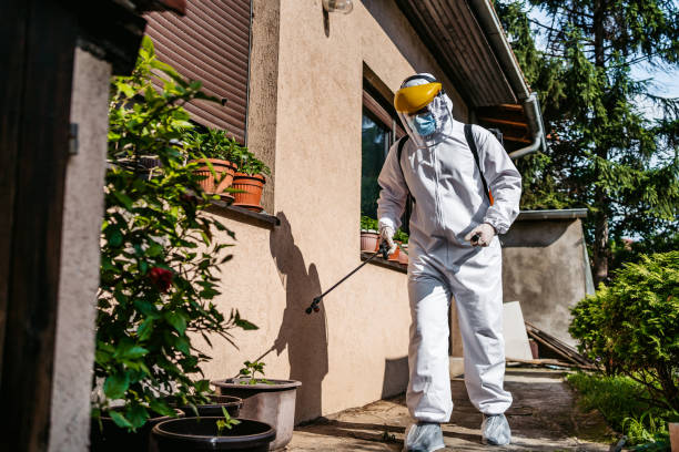 Best Emergency Pest Control  in Hamilton, MT
