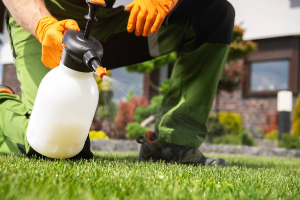 Best Local Pest Control Services  in Hamilton, MT