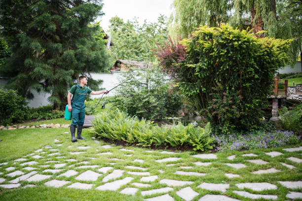 Best Exterminator Services  in Hamilton, MT