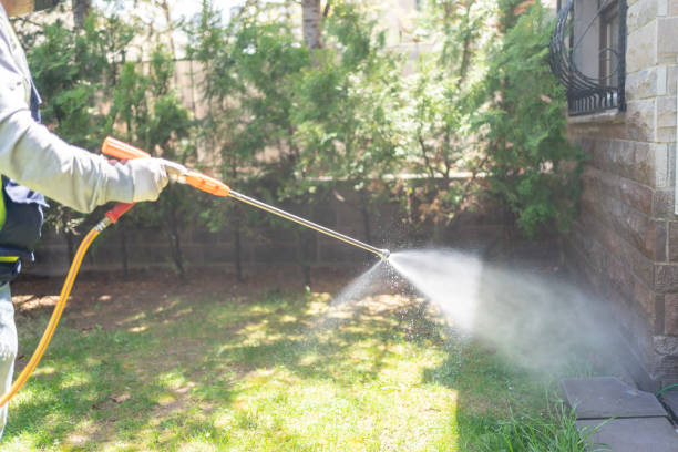 Best Pest Prevention Services  in Hamilton, MT
