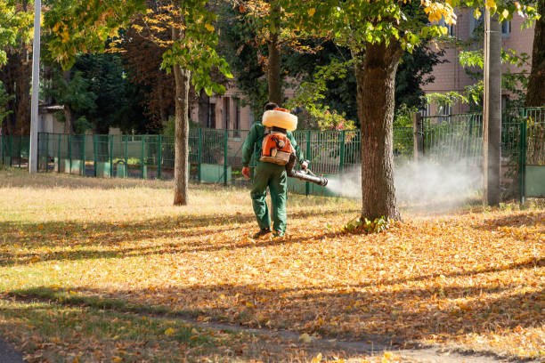 Pest Prevention Services in Hamilton, MT